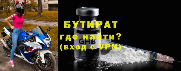 сатива Бородино