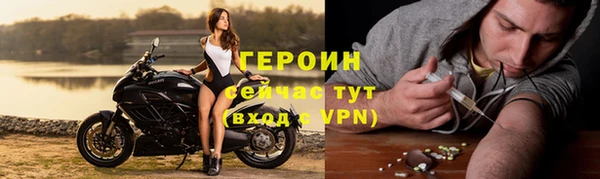 сатива Бородино