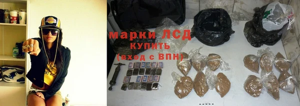 сатива Бородино