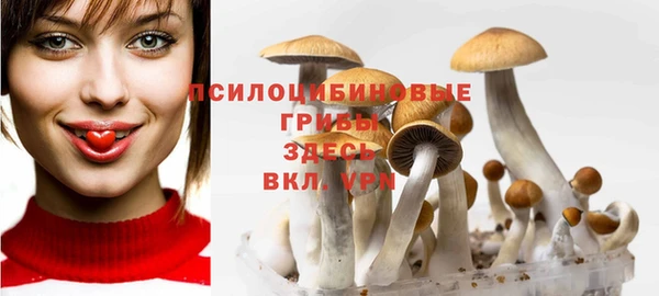 сатива Бородино