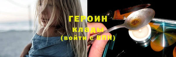 сатива Бородино