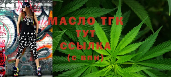 сатива Бородино