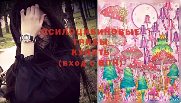 сатива Бородино