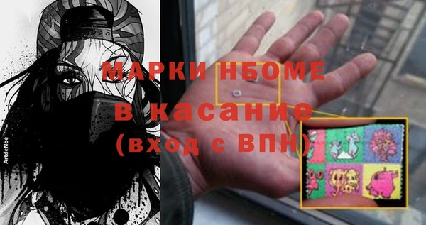 сатива Бородино