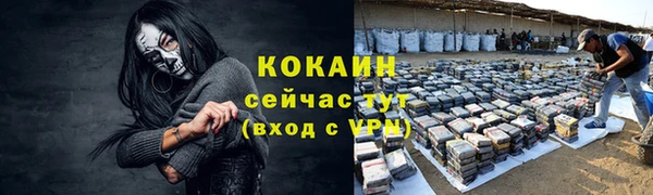 сатива Бородино